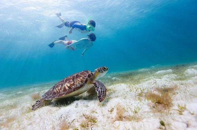 Buck Island y Honeymoon Beach semiprivado