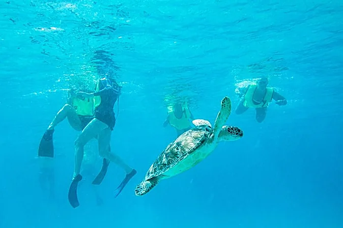 Esnórquel en Virgin Islands National Park