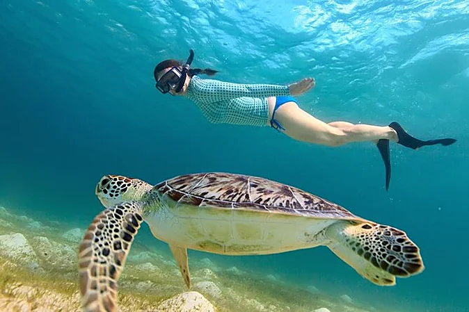 Ein Schnorchler schwimmt in einiger Entfernung über einer Meeresschildkröte